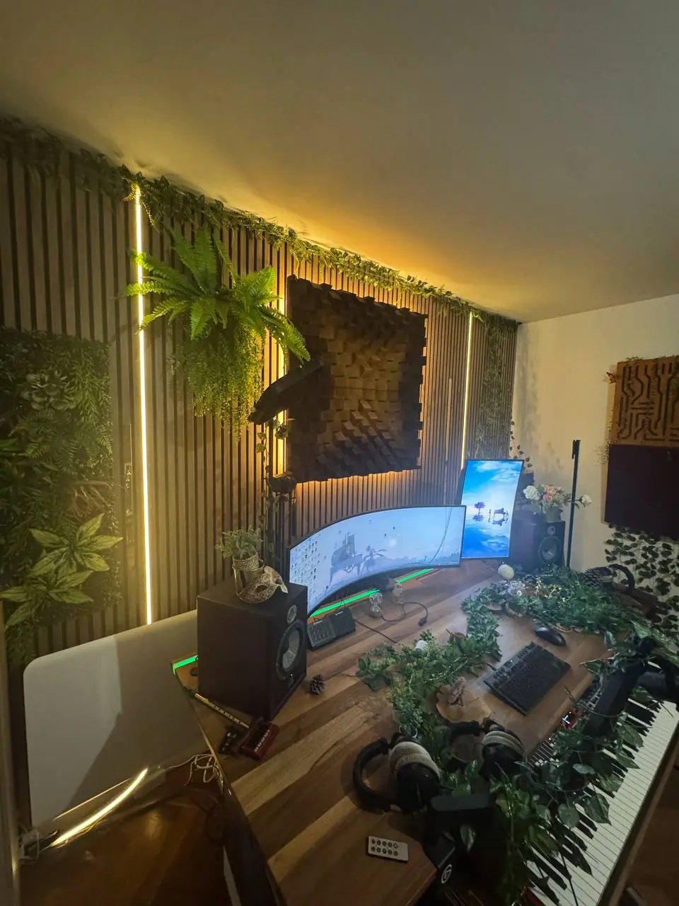 Le mur de tasseaux du studio, sa fougère suspendue et son diffuseur acoustique, dans une lumière ambrée.